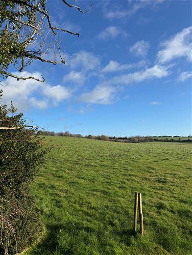 Ballinakill, Rathdrum, Wicklow, historical listing image 2