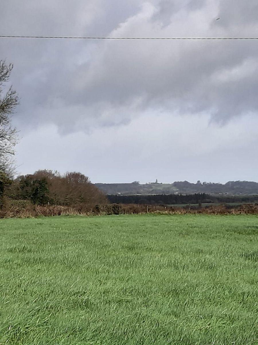 Redcastle, Mountrath, Co. Laois, historical listing image 2