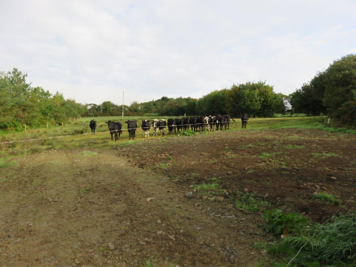 Ratharoon West, Bandon, Co. Cork, historical listing image 2