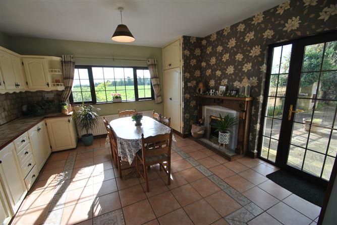 Mount Heaton, Roscrea, Co. Offaly, historical listing image 4