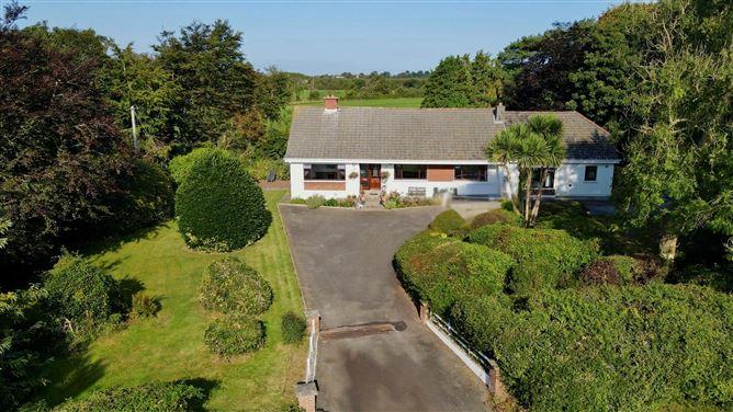 Dromina, Woodstown, Waterford, historical listing image 4