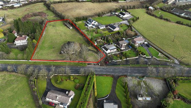 Birr Road, Roscrea, Co. Tipperary, historical listing image 2
