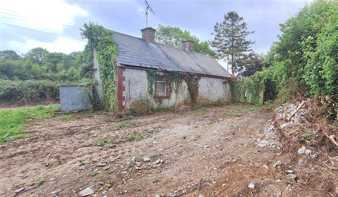 Ballyadams, Co. Laois, historical listing image 3