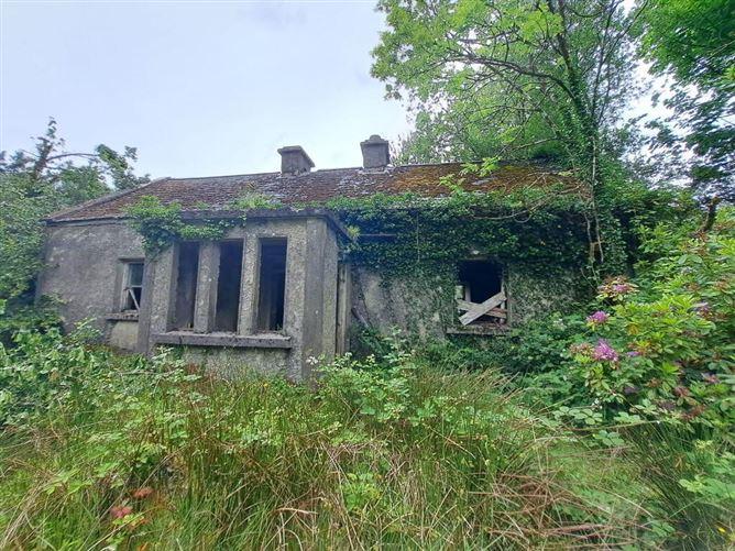 Tullynascreen, Dromahair, Leitrim, historical listing image 1