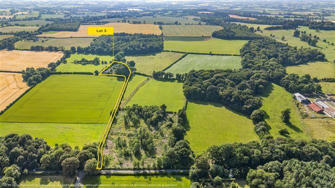 Lot 3 - Gatekeeper's Cottage, Lisnavagh, Rathvilly, Carlow, historical listing image 1