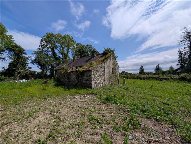 Carroweena, Killasser, Swinford, Co. Mayo, historical listing image 6