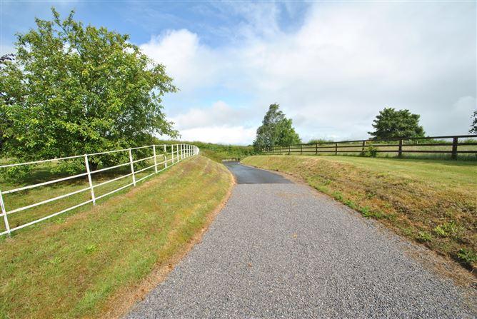 Rath House On Approx. 8.2 Acres, Ballygague, Ballacolla, Co. Laois, historical listing image 6