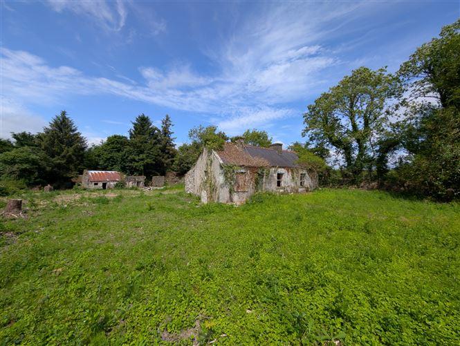 Carroweena, Killasser, Swinford, Co. Mayo, historical listing image 5