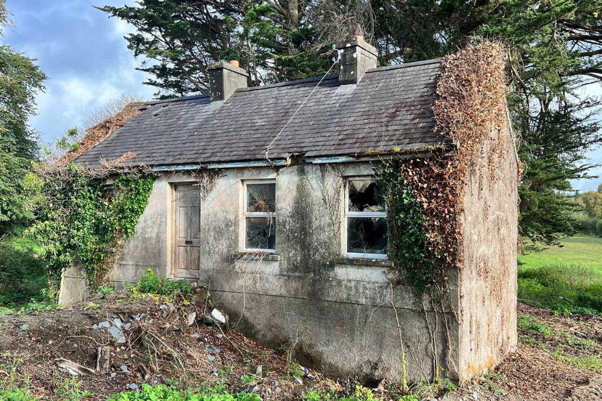 Gardenhill, Castleconnell, Co. Limerick, historical listing image 1