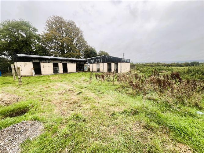 Coolfin, Kilcormac, Offaly, historical listing image 6