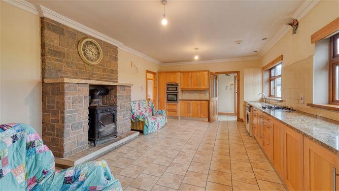 Clonehurke, Ballyfin, Co. Laois, historical listing image 6