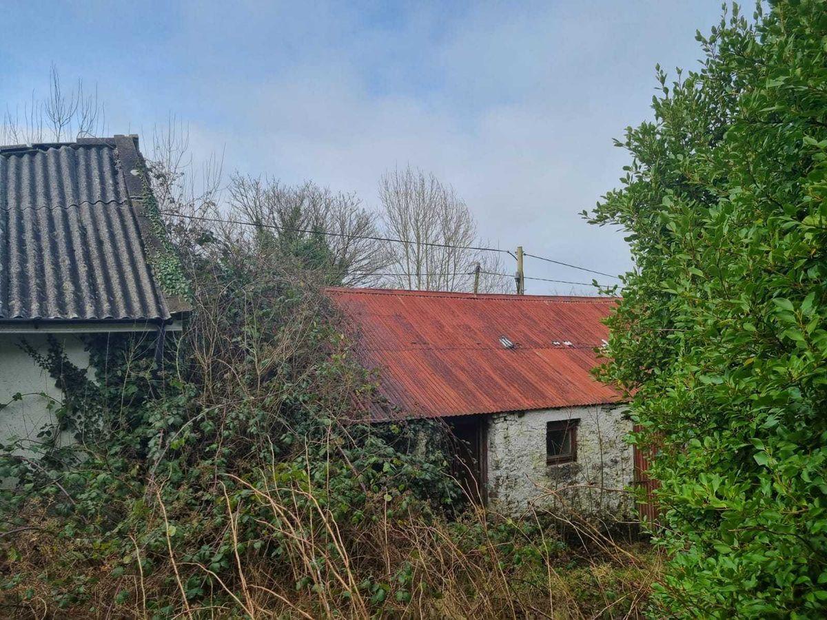 The Hill, Abbeyfeale, Co. Limerick, historical listing image 5