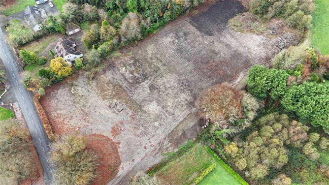 Athlone, County Westmeath, historical listing image 3