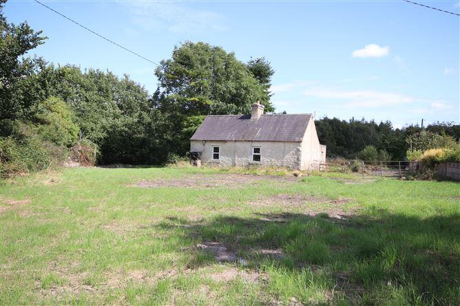 The Cottage, Lipstown, Calverstown, Kilcullen, Kildare, historical listing image 1