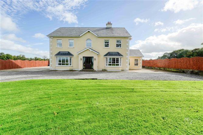 Derrymore, Mountrath, Co. Laois, historical listing image 1