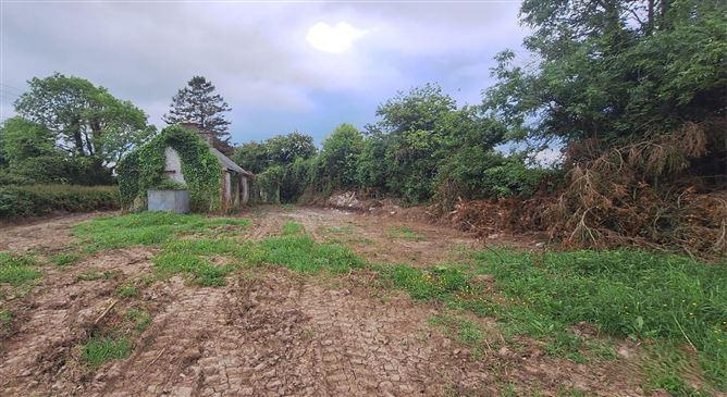Ballyadams, Co. Laois, historical listing image 2