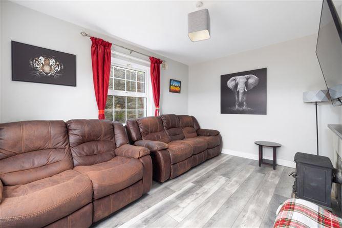 Millcourt, Tinahely, Co. Wicklow, historical listing image 4