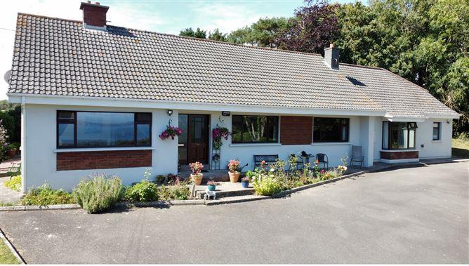 Dromina, Woodstown, Waterford, historical listing image 2