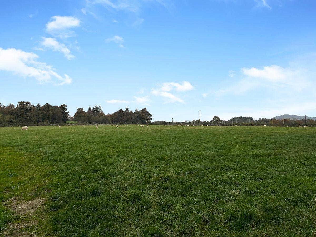 Ballynagrane, Borris, Co. Carlow, R95HD51, historical listing image 2