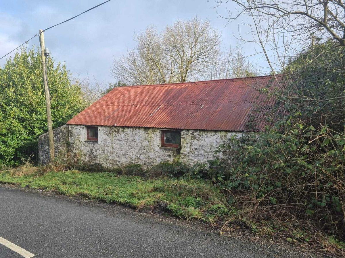 The Hill, Abbeyfeale, Co. Limerick, historical listing image 6