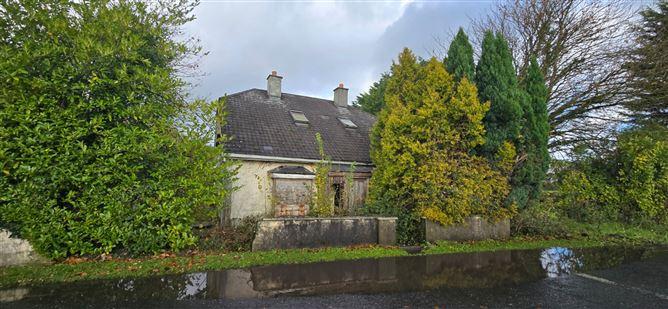 Passlands, Monasterevin, Co. Kildare, historical listing image 1