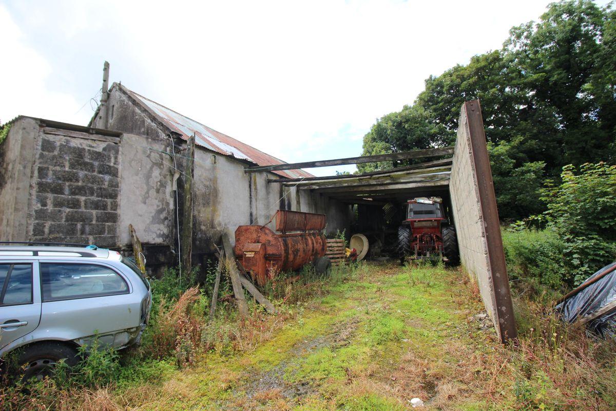 Dromina House, Dromina, Cork, historical listing image 4