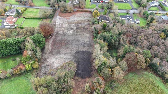 Athlone, County Westmeath, historical listing image 4