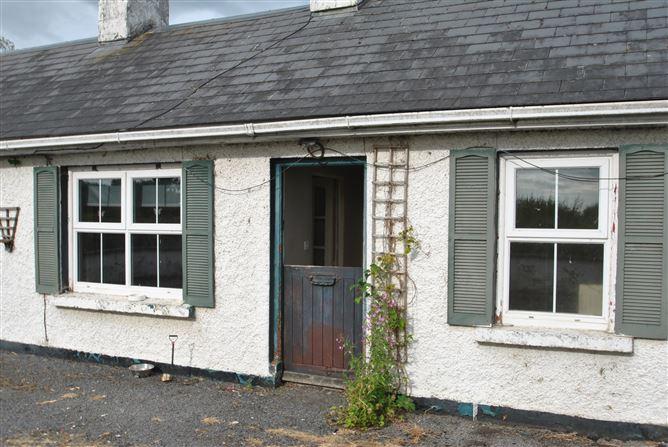 Mount Heaton, Roscrea, Co. Offaly, historical listing image 3