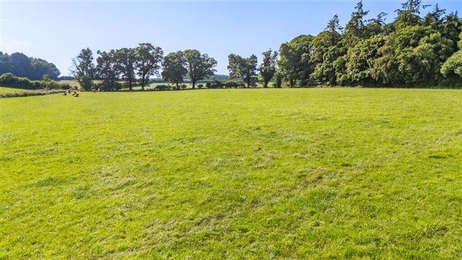 Lot 3 - Gatekeeper's Cottage, Lisnavagh, Rathvilly, Carlow, historical listing image 6
