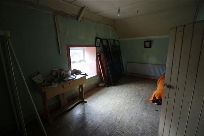 Dromina House, Dromina, Cork, historical listing image 5