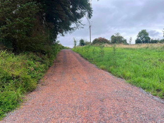 Derrygolagh, Cloonloo, Boyle, Roscommon, historical listing image 4