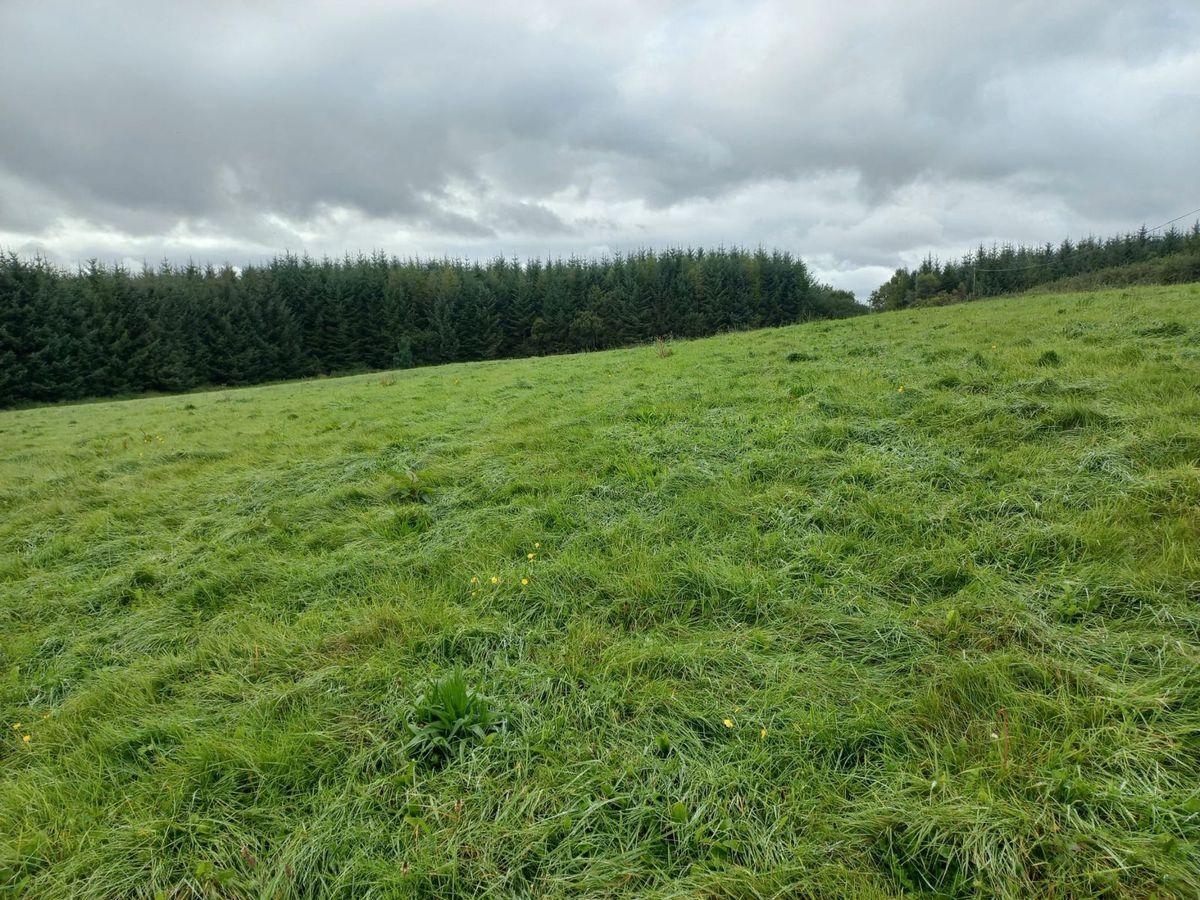 Cloonagh Carrowbehy, Castlerea, Roscommon, historical listing image 3