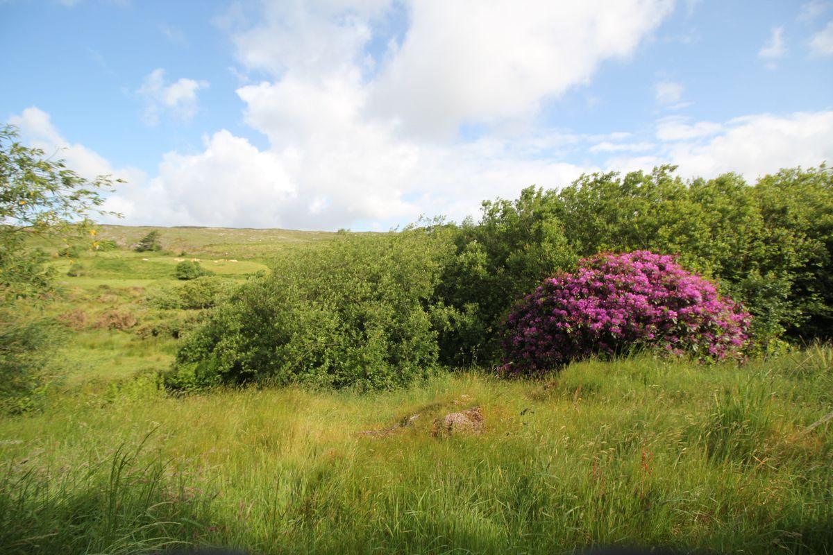 Saltwinds, Kealties, Durrus, Co. Cork, historical listing image 3