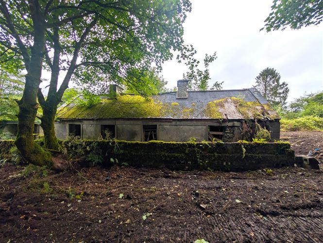 Killasser, Swinford, Co. Mayo, historical listing image 6