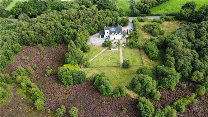 Townspark House, Townparks, Ardee, Co. Louth, A92F1C8, historical listing image 4