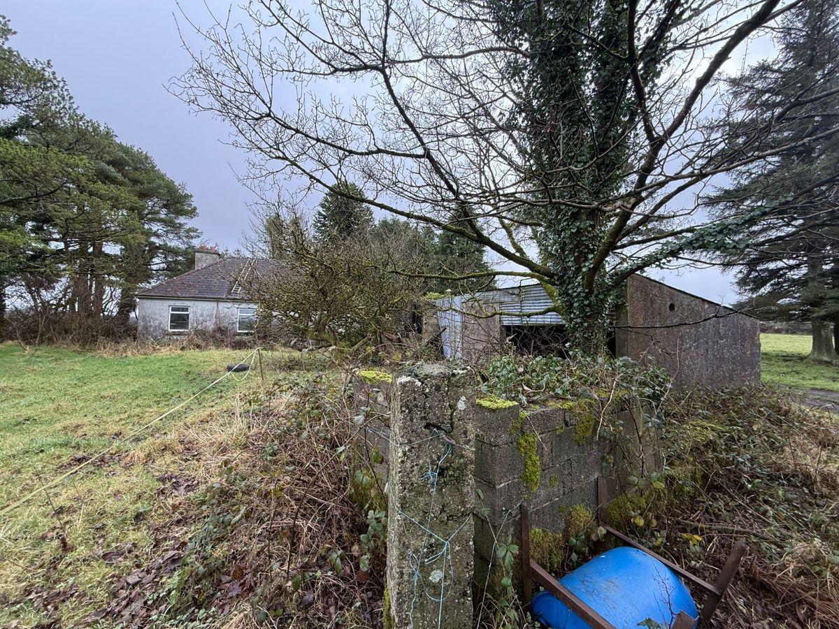 Moigh Lower, Cloonfad, Garranlahan, Co. Roscommon, F35DW96, historical listing image 3