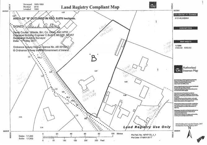 Birr Road, Roscrea, Co. Tipperary, historical listing image 5
