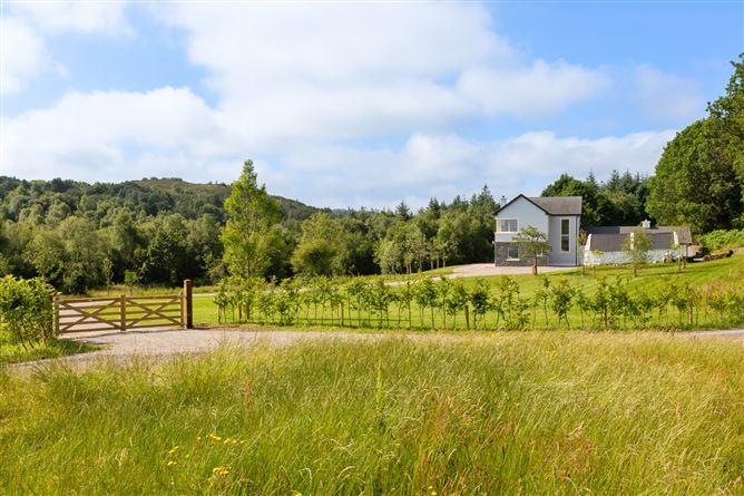 Castle Terry Cottage, Terrybaun, Bofeenaun, Ballina, County Mayo, historical listing image 5