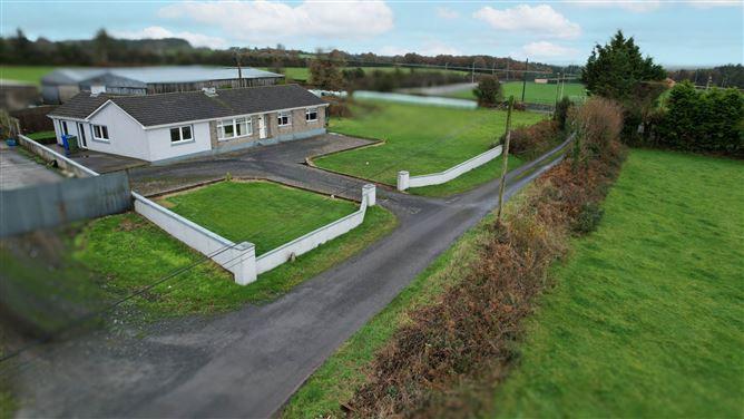 Drim, Mountrath, Co. Laois, historical listing image 2