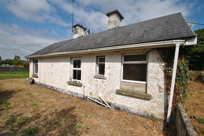 Mount Heaton, Roscrea, Co. Offaly, historical listing image 4
