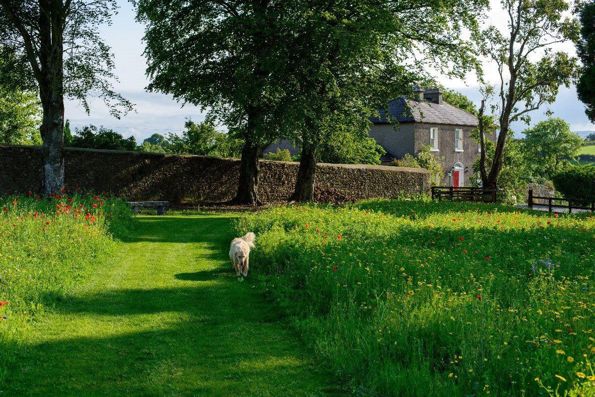 Glebe House On Circa 5.83 Acres, Farrantemple, The Rower, Inistioge, Co Kilkenny, R95Y2V9, historical listing image 5