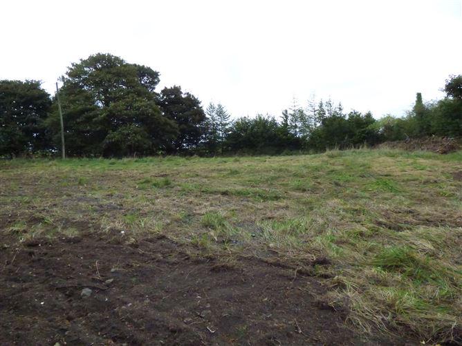 Hollybrook, Claremorris, Co. Mayo, historical listing image 4