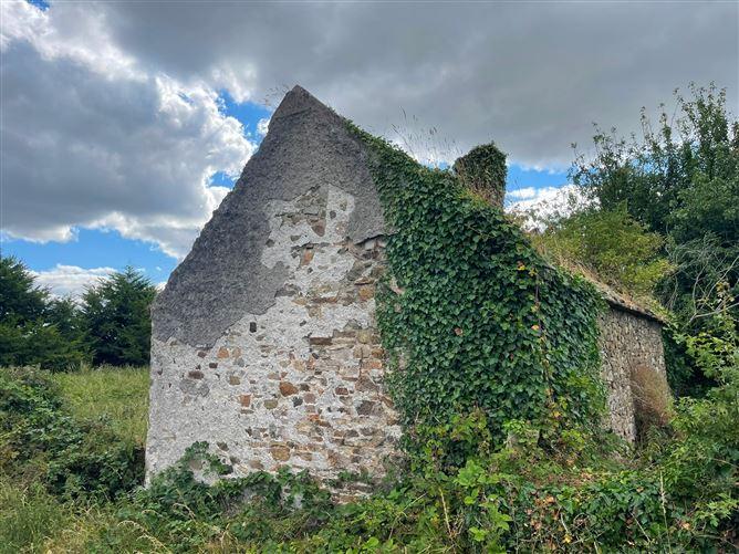 Killenaule, Co. Tipperary, Killenaule, Tipperary, historical listing image 5
