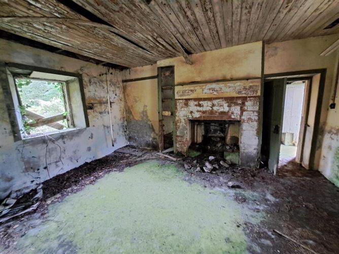 Tullynascreen, Dromahair, Leitrim, historical listing image 3