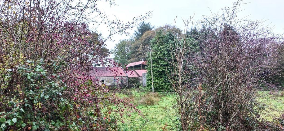Falleighter, Kilkelly, Co. Mayo, historical listing image 6