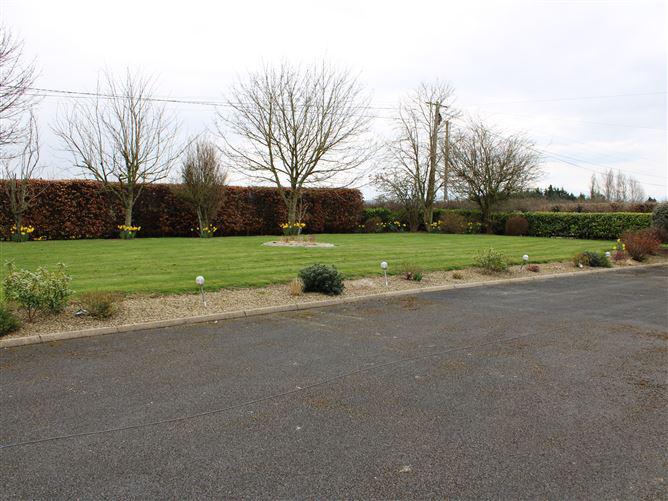 Bendinstown, Rathoe, Carlow, historical listing image 4