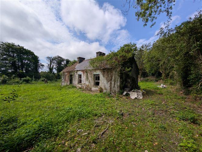 Carroweena, Killasser, Swinford, Co. Mayo, historical listing image 3