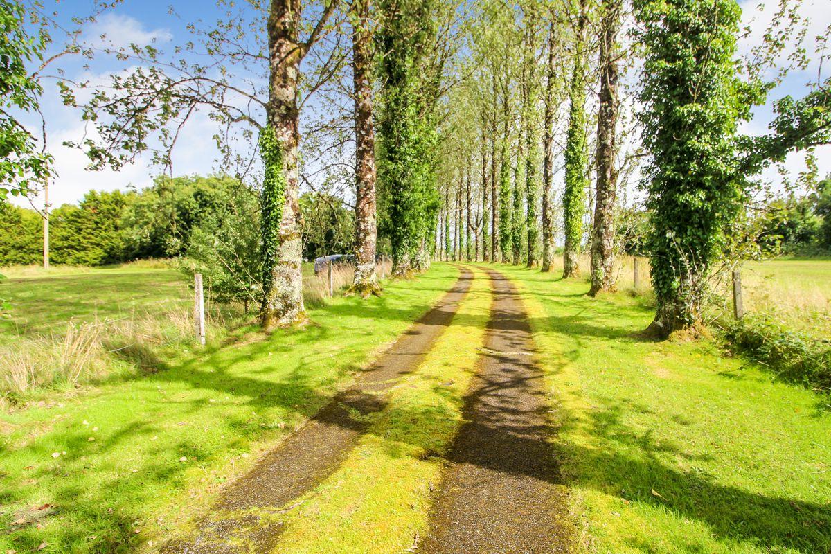 Mount Ashley, Glebe, Roosky, Co. Roscommon, N41CY93, historical listing image 5