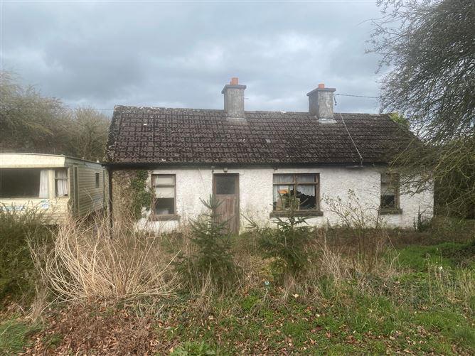 Stickin, Caragh, Naas, Kildare, historical listing image 2