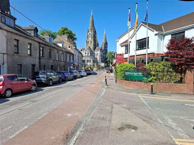 14 Saint Finbarrs Place, Probys Quay, Cork City, Cork, historical listing image 1